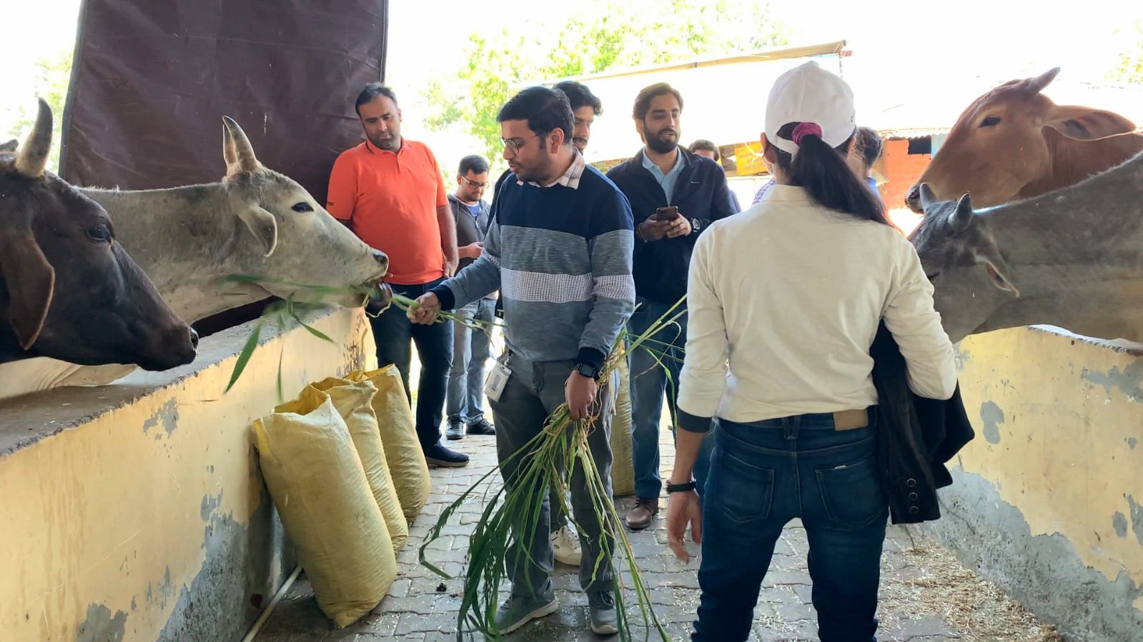 CSR Activity