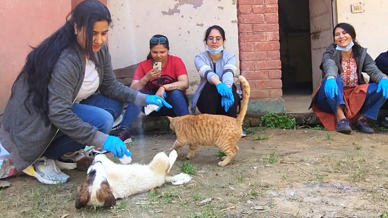CSR Activity