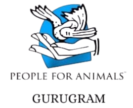 PFA Logo