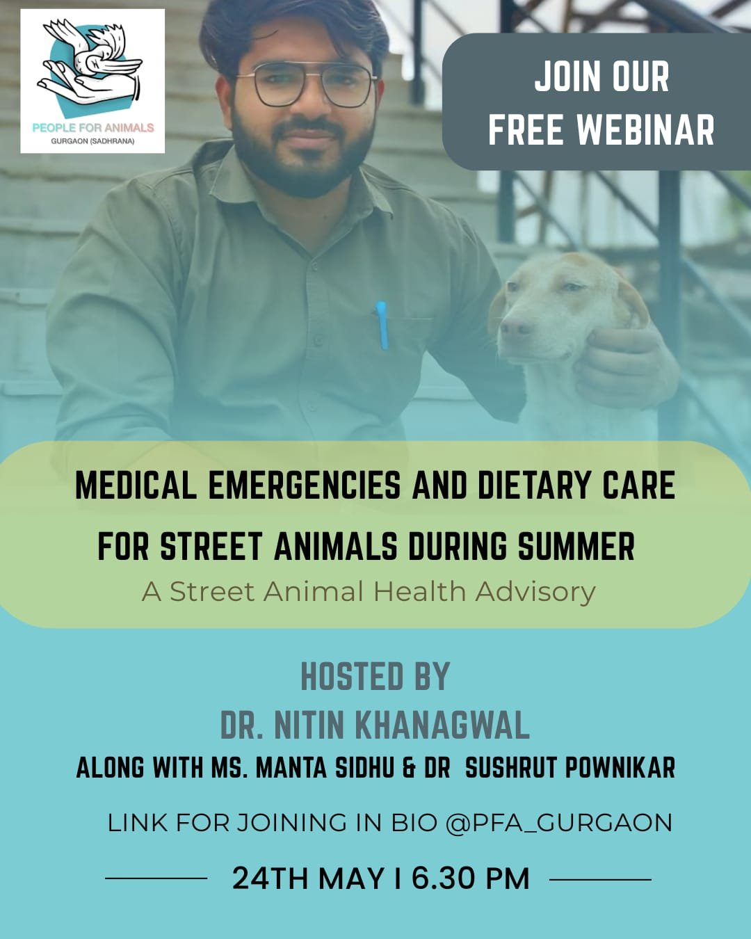 Street Dog Care Webinar